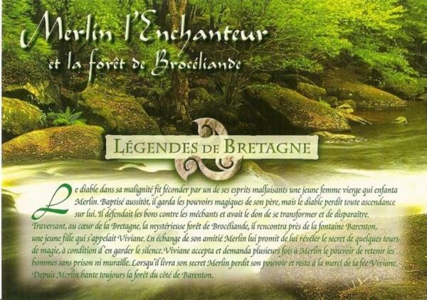 le bois du loup en brocéliande Villa Paimpont Esterno foto